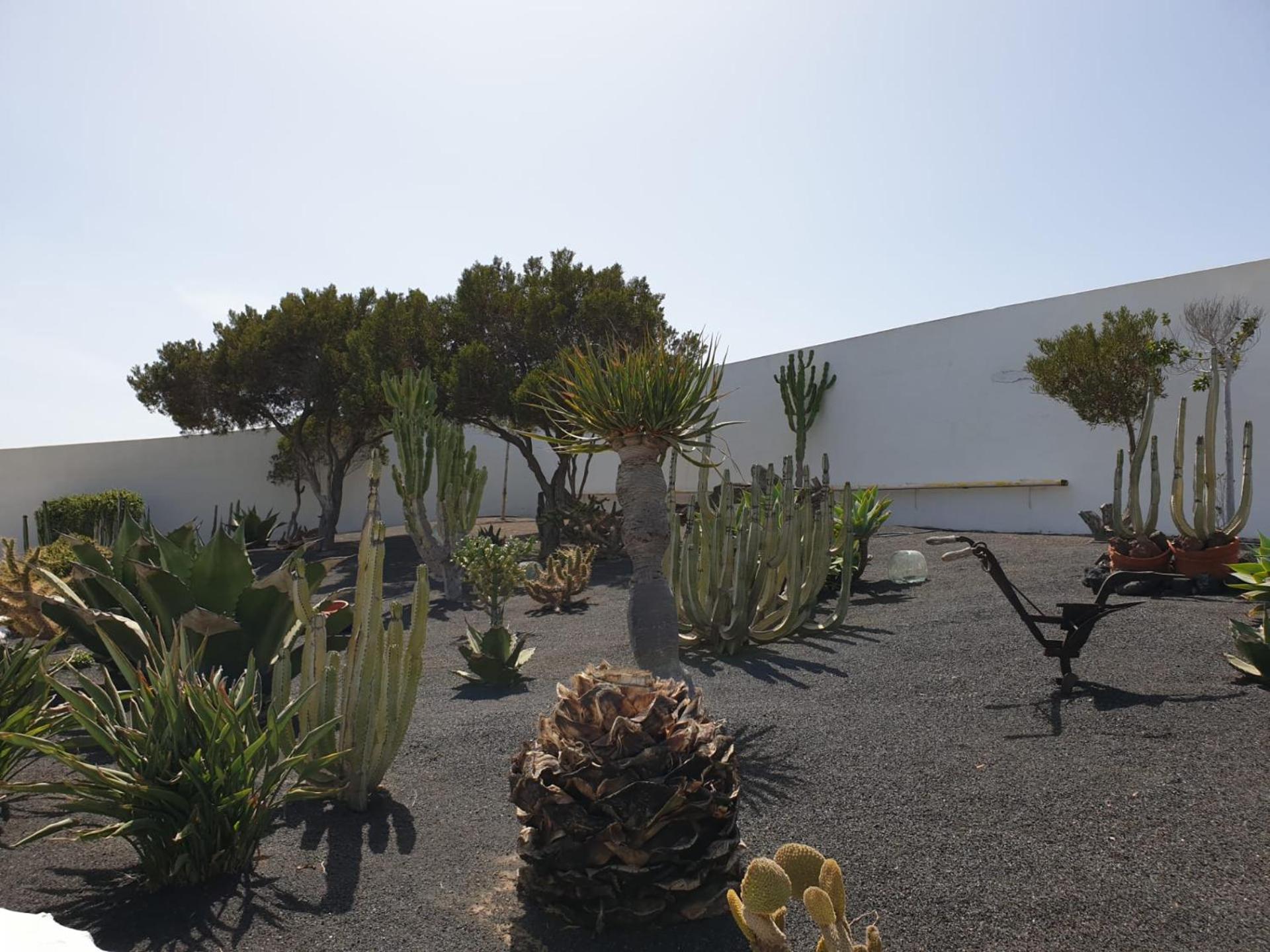 Casa Berriel 2 Villa Tías Dış mekan fotoğraf
